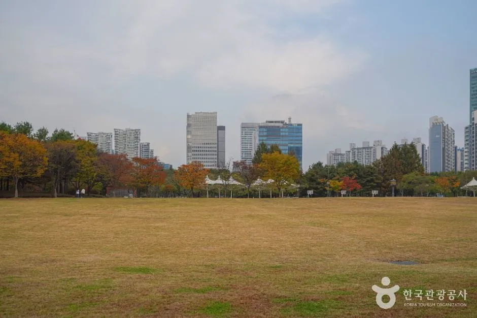 마른 잔디가 넓게 펼쳐진 난지천공원 잔디광장과 멀리 보이는 고층 건물
