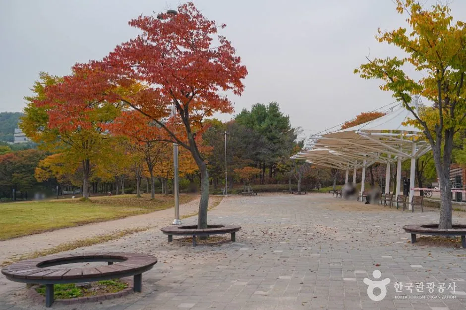 단풍 든 나무와 원형 벤치, 차양 시설이 있는 난지천공원의 포장된 휴게 광장