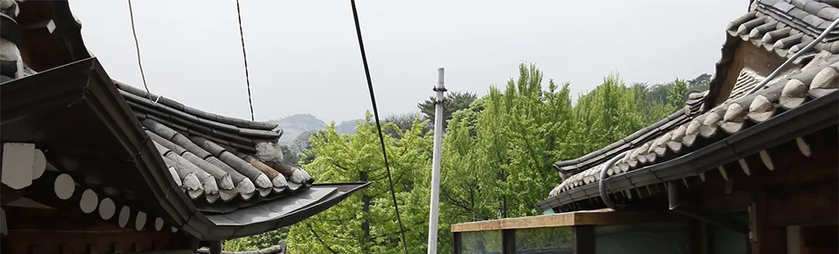 기와지붕 처마와 초록빛 나무가 어우러진 북촌한옥마을 골목 안쪽 풍경