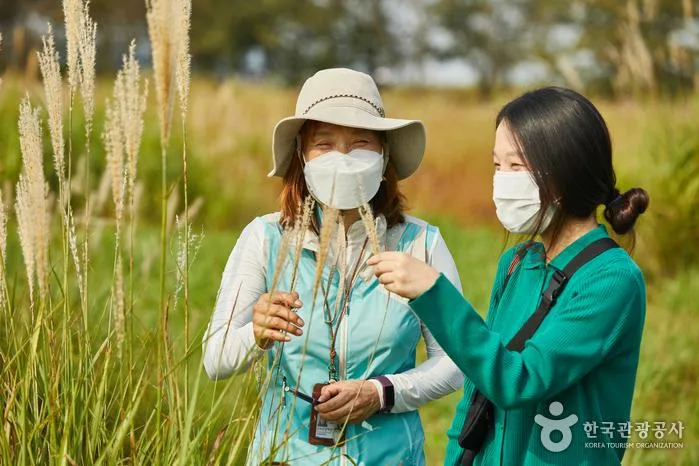 시흥갯골생태공원 갯골을 따라 이어지는 산책로와 갈대숲