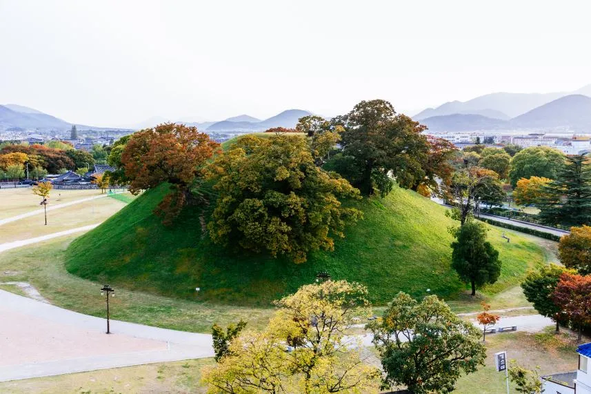 푸른 잔디로 덮인 봉황대 고분과 가을빛 나무들, 멀리 도심과 산이 보이는 전경