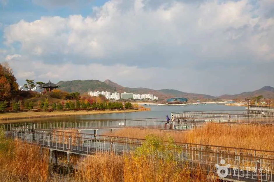 억새가 우거진 세종호수공원 물가 산책로