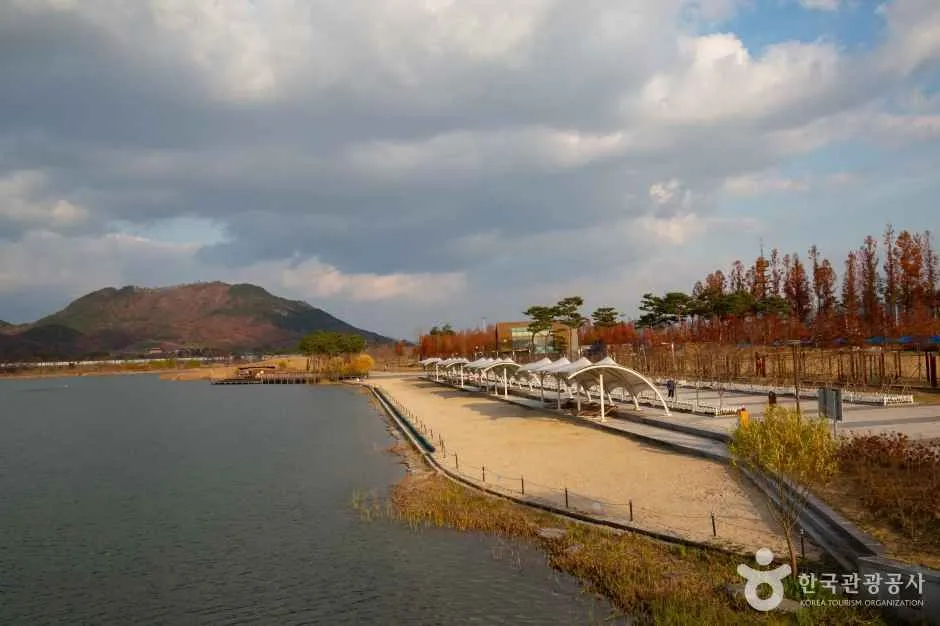 세종호수공원 모래 물가와 산책로 너머 산