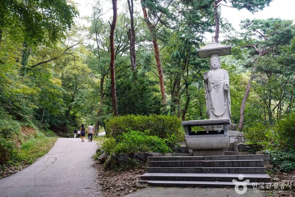 숲길 옆 계단 위에 서 있는 석조 미륵불상과 길을 걷는 방문객