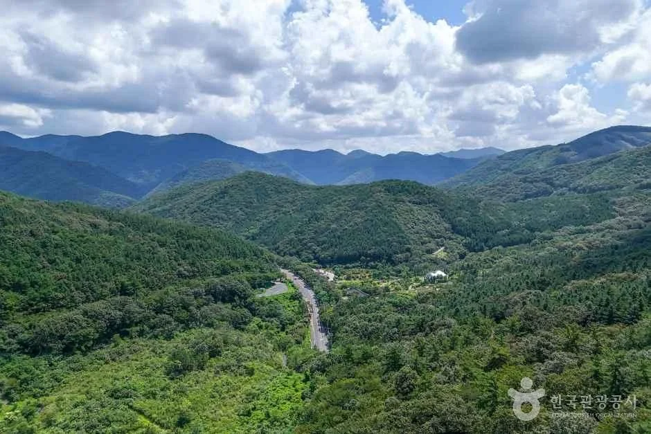 산줄기와 골짜기 사이로 도로가 보이는 성주산 일대 조망