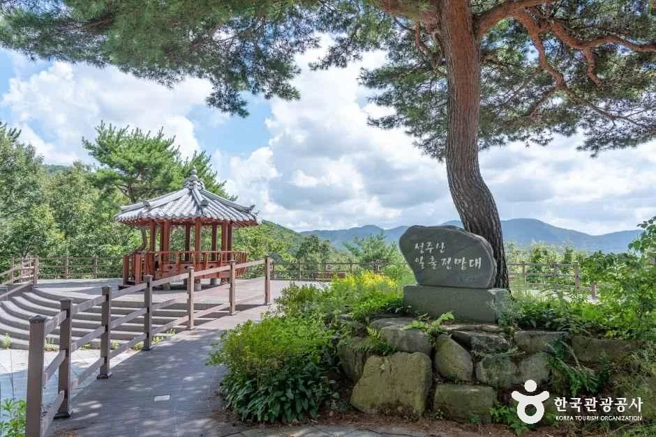 소나무 곁 전망대에 서 있는 붉은 기둥의 정자