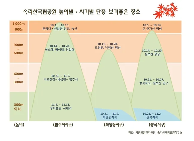 속리산국립공원 높이·시기별 단풍 보기 좋은 장소를 안내하는 국립공원관리공단 속리산국립공원사무소 인포그래픽, 법주사지구·화양동지구·쌍곡지구별 고도구간과 단풍 절정 날짜가 표시돼 있다