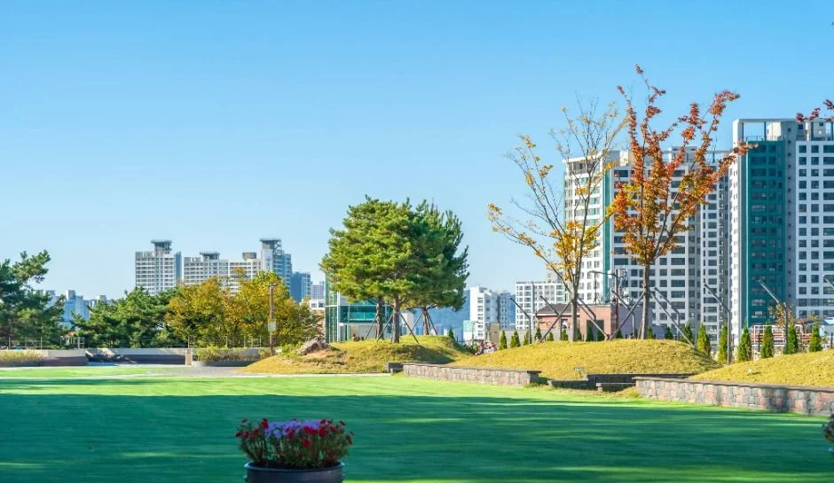 잔디 광장과 붉게 물든 나무, 뒤로 아파트가 보이는 앞산빨래터공원