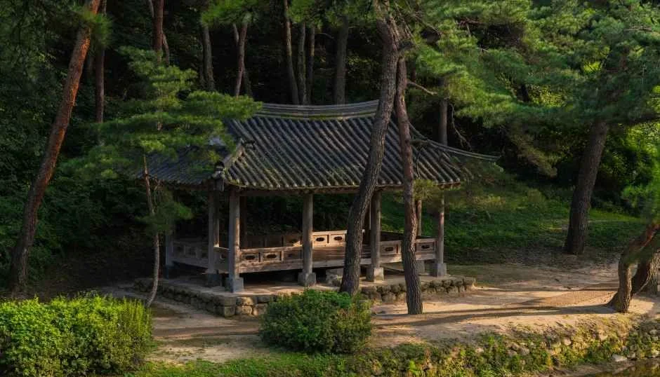 소나무 숲 사이 물가에 기와지붕 정자가 서 있고 앞에 흙길과 관목이 있는 모습