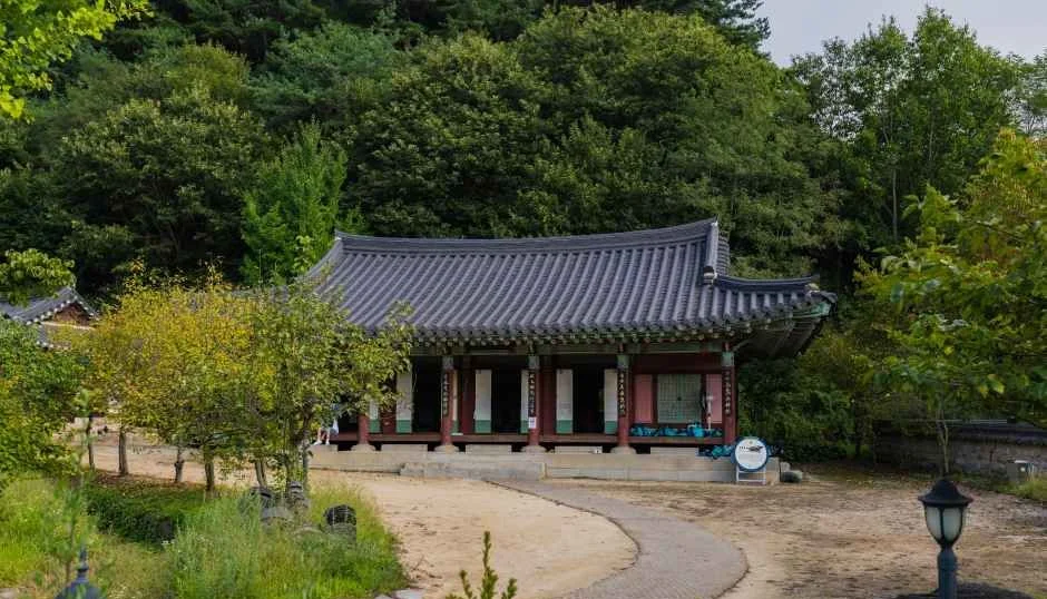 마당 앞으로 기와지붕 한옥이 서 있고 뒤로 숲이 보이는 선비촌