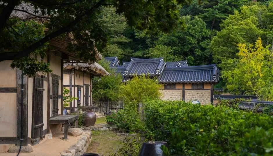 장독대와 초가지붕 한옥 옆으로 기와 한옥이 이어지는 선비촌 골목