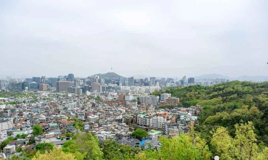 나무 울타리 너머로 서촌 지붕과 도심이 펼쳐지는 인왕산 무무대 전망대에서의 풍경