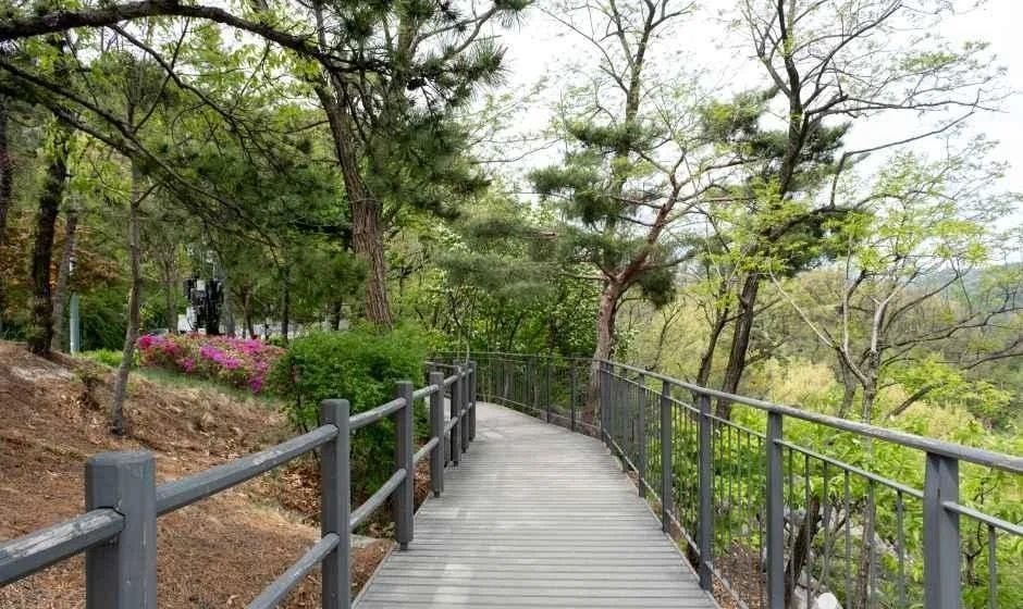 소나무 사이로 난간이 있는 나무 데크 산책로가 이어지는 인왕산 자락길