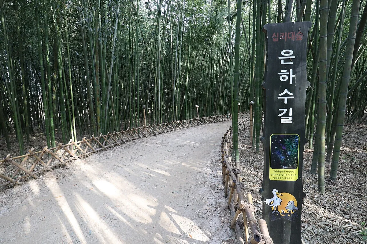 낮에 본 십리대숲 흙길 옆 은하수길 안내 표지 기둥