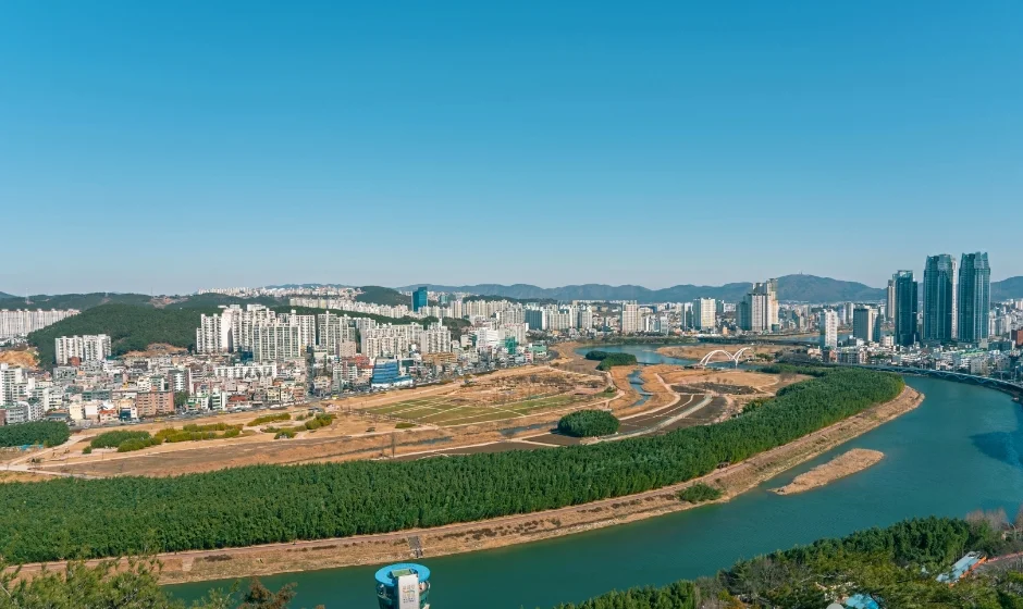 푸른 강 옆 소나무 숲과 먼 곳에 대나무 숲이 보이는 태화강 항공 사진