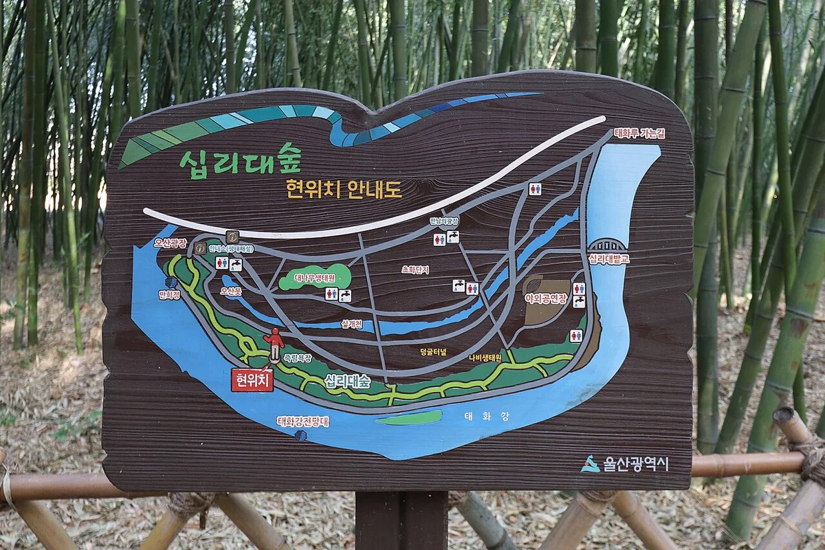 십리대숲 현위치 안내도에 산책로와 화장실, 태화강 위 다리가 표시된 모습