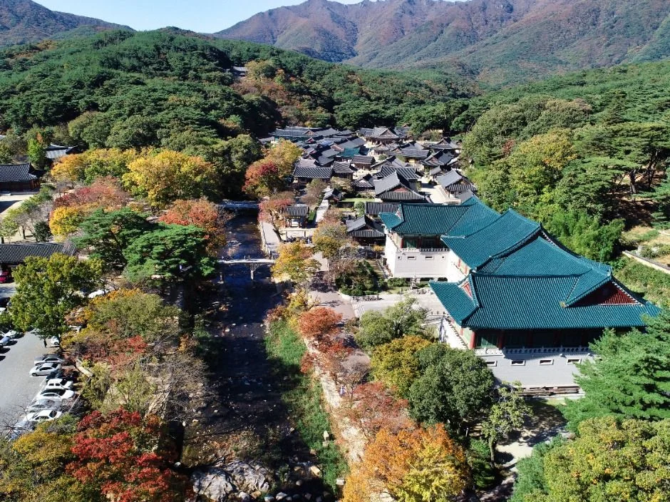 붉고 노란 단풍이 섞인 숲 가운데 통도사 가람이 자리한 항공 사진