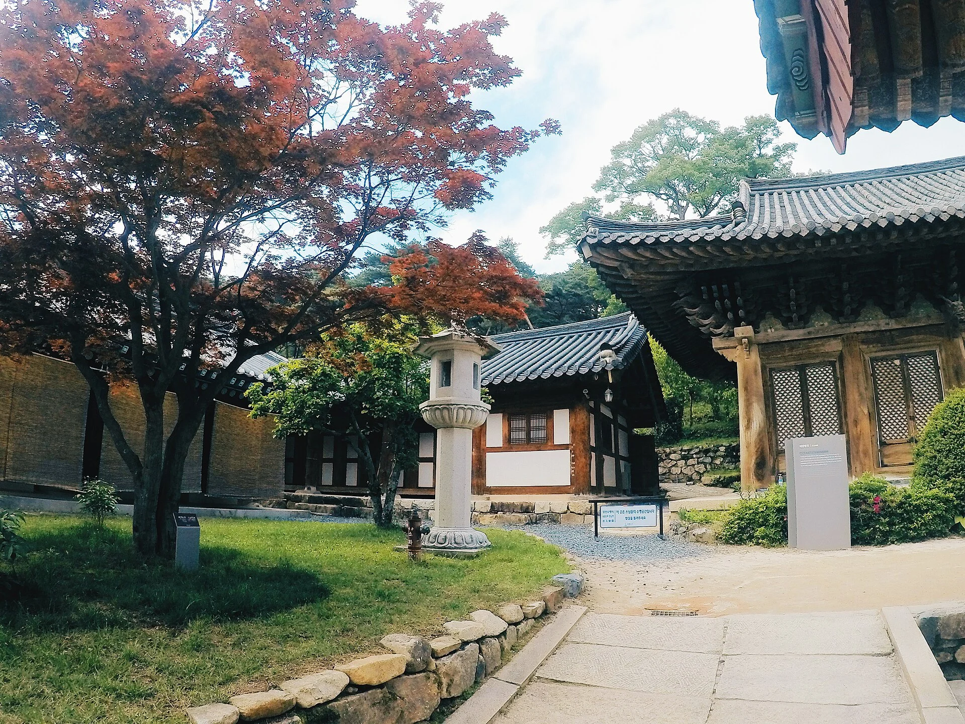 붉은잎 단풍나무와 석등, 전각이 보이는 통도사 정원(봄철 촬영)