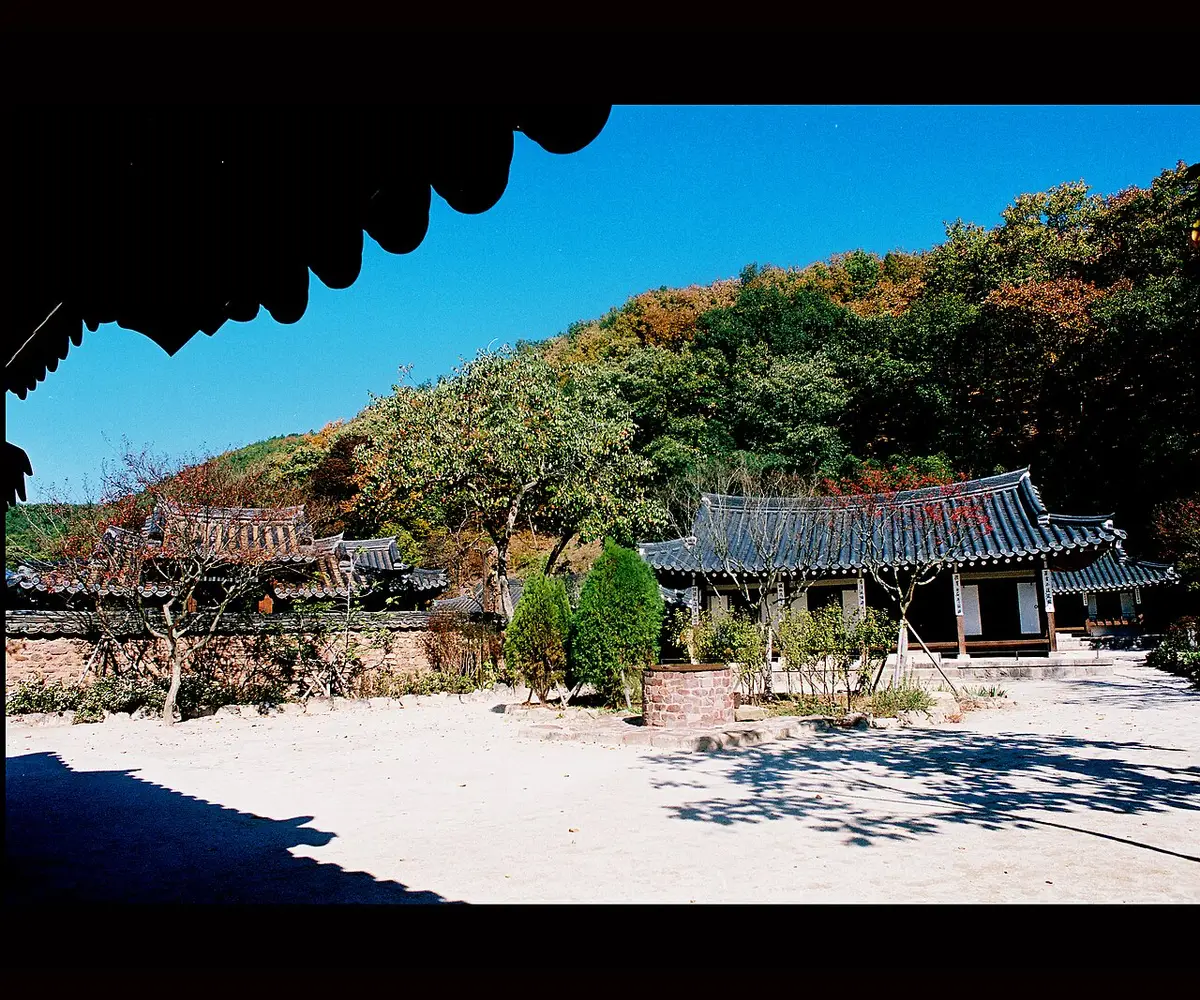처마 아래로 보이는 한옥 경내와 주황·초록빛 숲