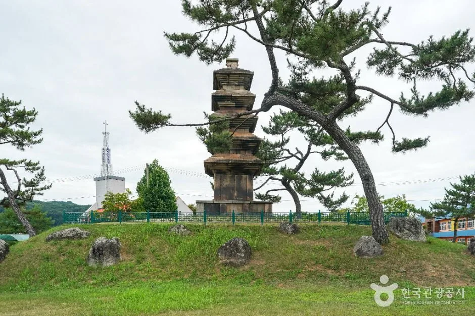 소나무와 풀밭 언덕 위에 선 탑리리 오층석탑