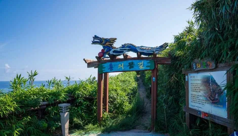 용 장식이 얹힌 목재 문과 안내판이 있는 해안 숲길 입구
