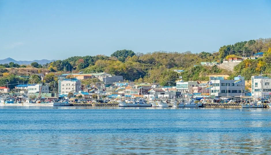 푸른 바다 건너로 보이는 죽변항 일대 마을과 건물
