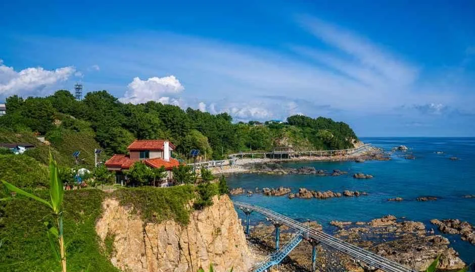 절벽 위 붉은 지붕 집과 해안 데크, 푸른 바다가 보이는 울진 죽변 해안