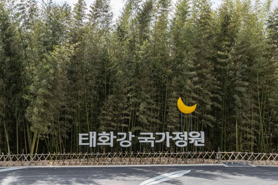 태화강 국가정원 입구의 대나무숲과 정원 표지