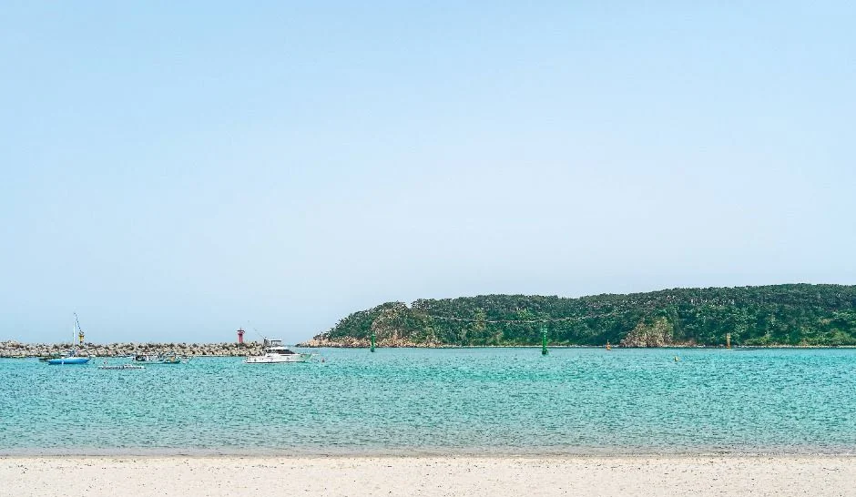 푸른 바다와 흰 모래, 멀리 숲이 우거진 섬이 보이는 일산해수욕장