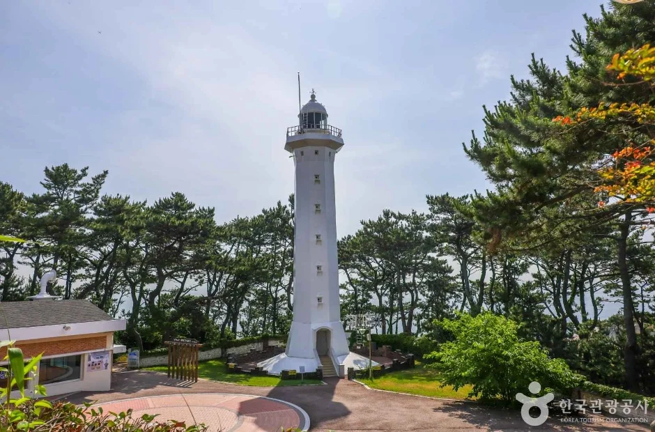 소나무 숲 위로 솟은 하얀 원형 등대 울기등대