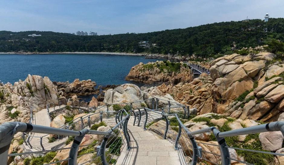 바위 해안 위로 철제 난간 데크가 이어지는 대왕암공원 해안 산책로