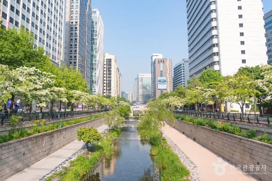 청계천과 도심 도로