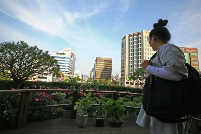 대전 시내 전망