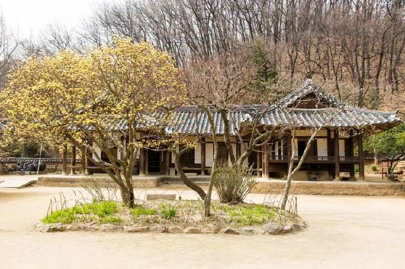 "입장료보다 진입로가 문제입니다"… 한국민속촌 차로 가는 법