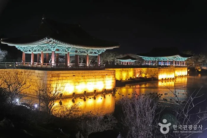 경주 월정교 야경