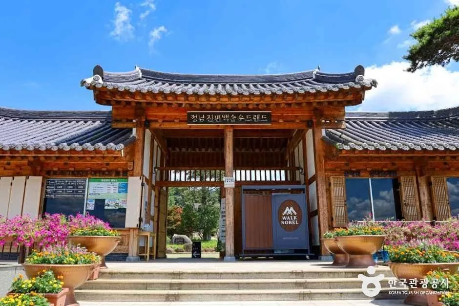 전남 장흥 정남진 편백숲 우드랜드 정문