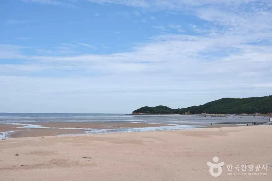 "여기 진짜 합법인가요?"… 경기권 차박 명소 8곳, 가도 되는 곳과 애매한 곳