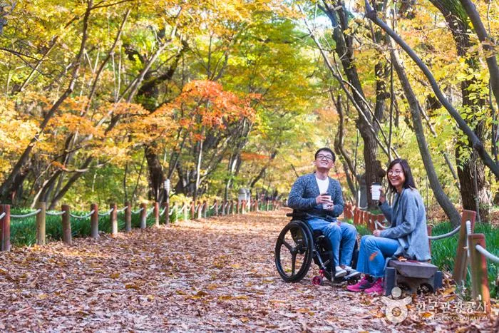 산청·함양 일대 가을 단풍길
