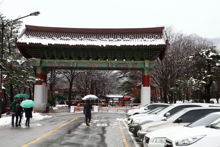 "소공원이 막히면 경찰이 손으로 차를 돌립니다"… 설악산 단풍철, 수신호 통제의 실체