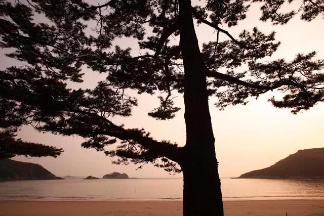 신안 섬 해변