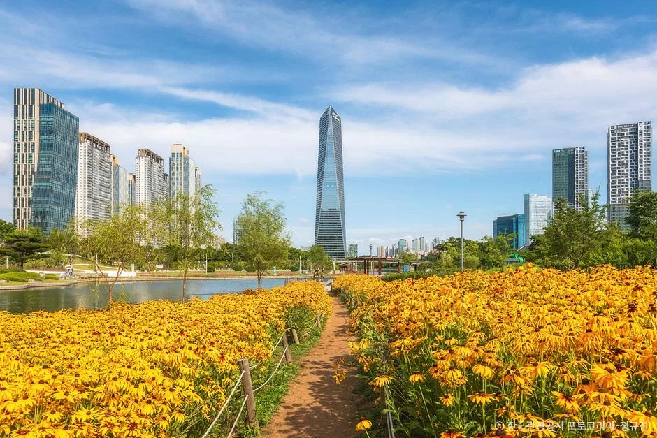 송도 일대 꽃밭과 도심