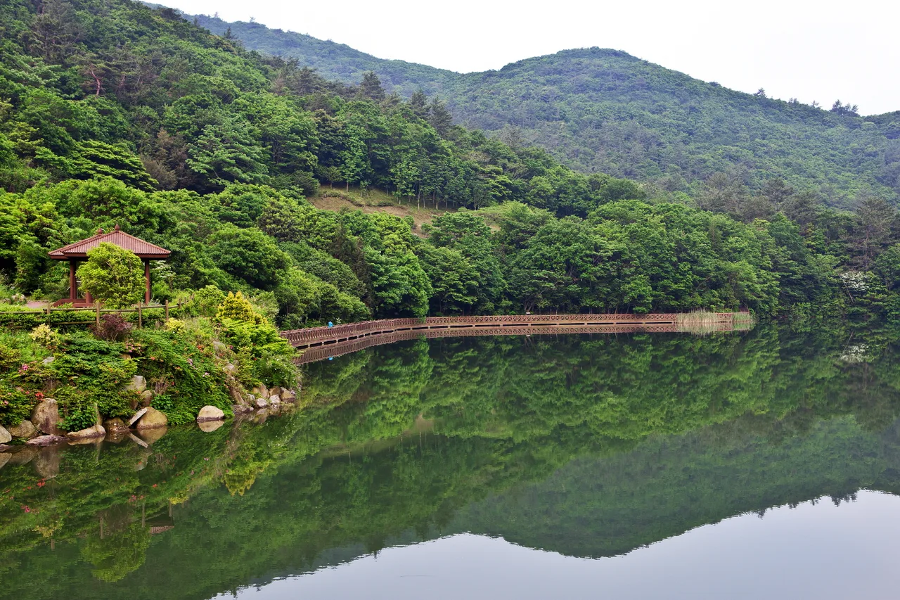 완도수목원의 수변데크 산책로와 저수지, 주변 상록수림