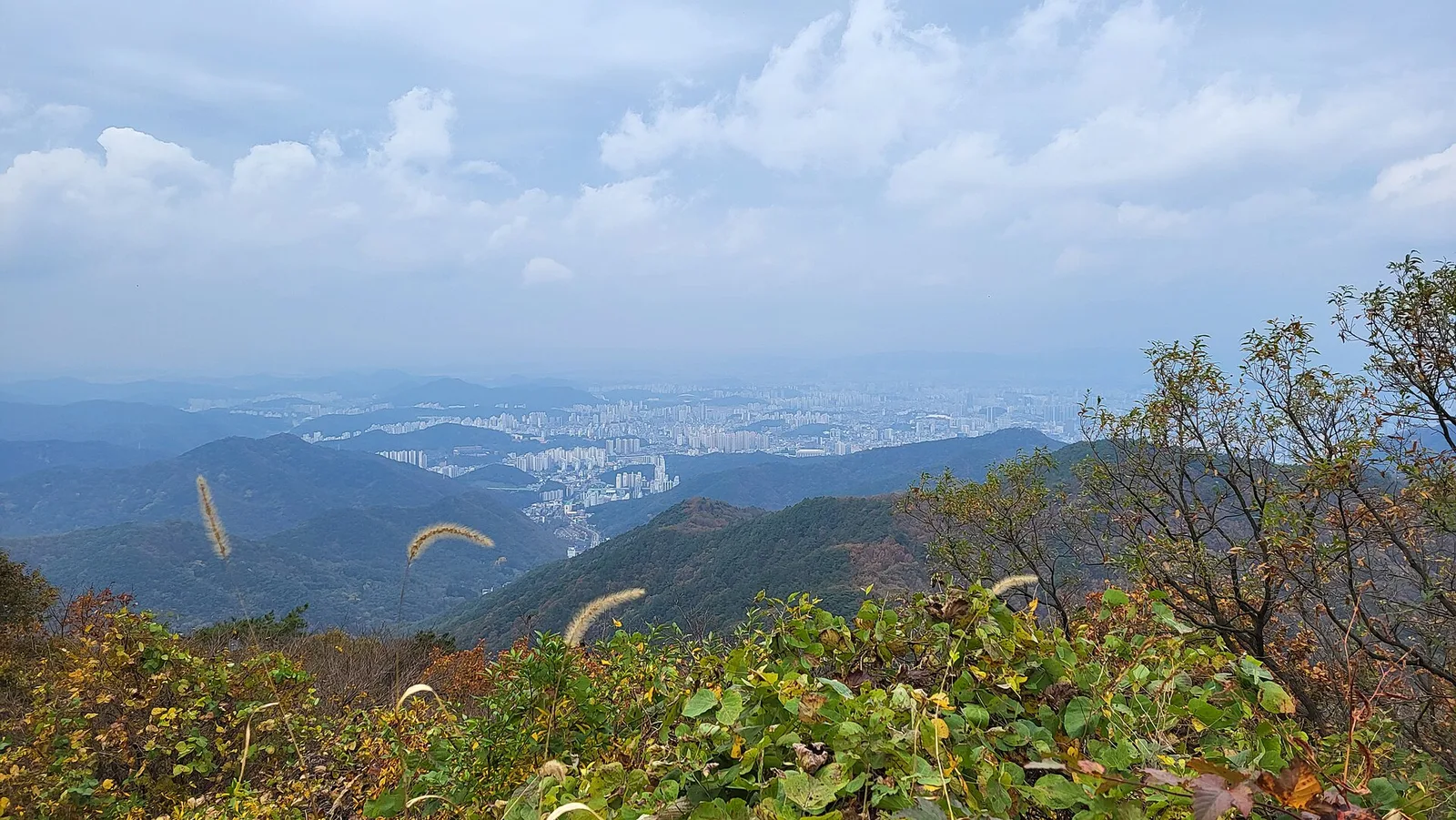 가을 억새와 관목 너머로 산줄기 사이에 광주 시가지 아파트 단지가 넓게 펼쳐진 풍경