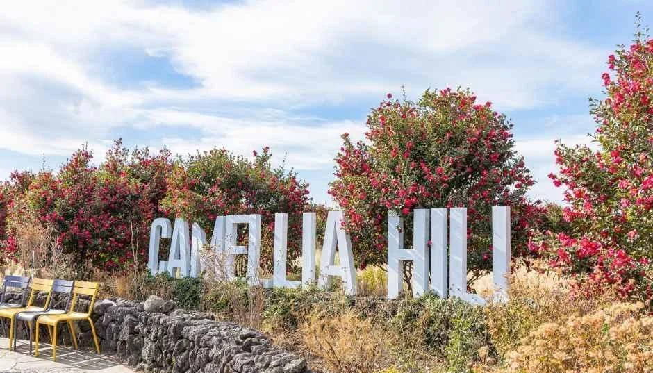 CAMELLIA HILL 글씨 조형물 뒤로 동백나무가 서 있는 카멜리아힐 정원