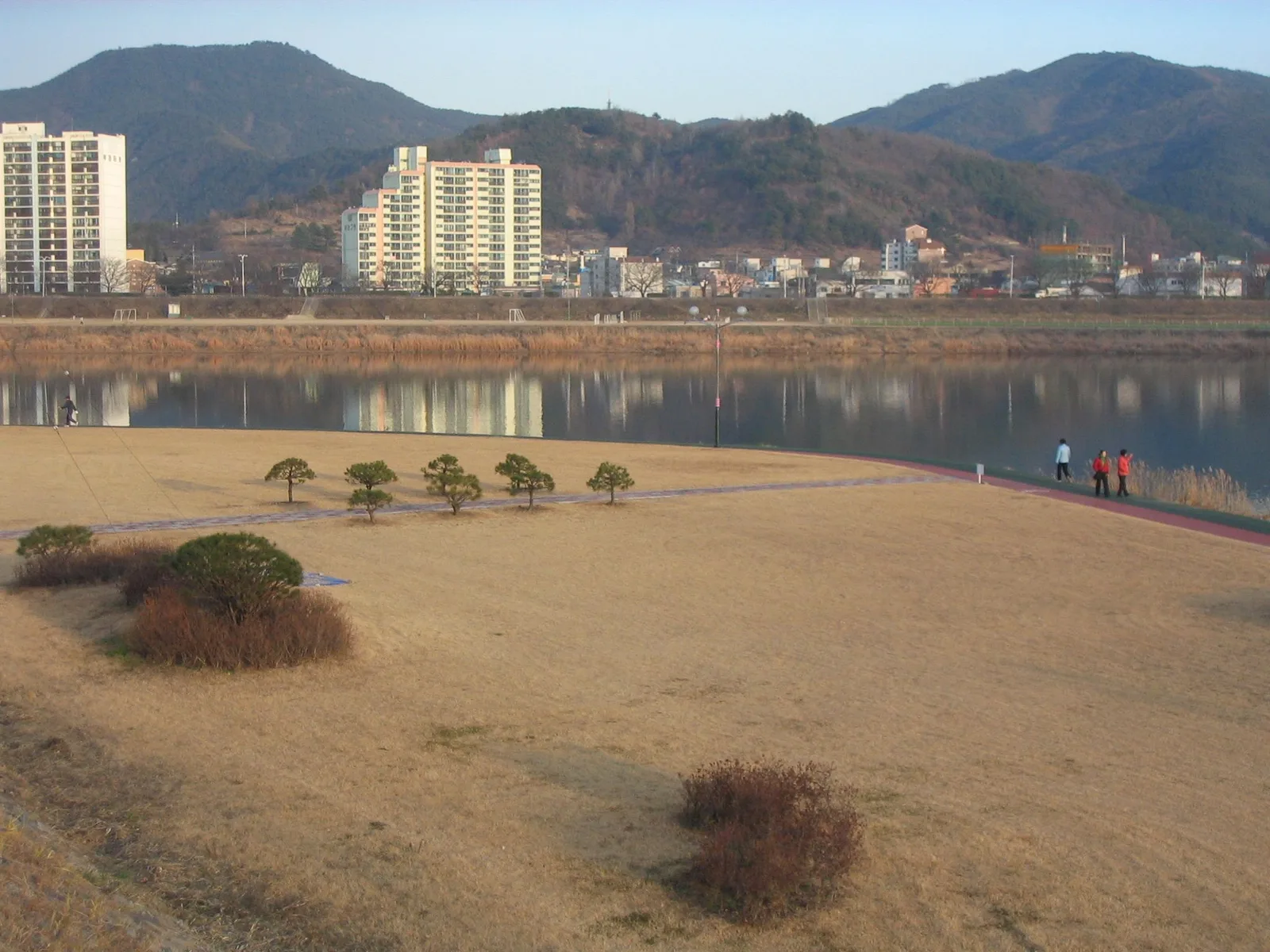 강변 산책로를 따라 소나무가 늘어서 있고 멀리 아파트 단지와 산이 보이는 풍경
