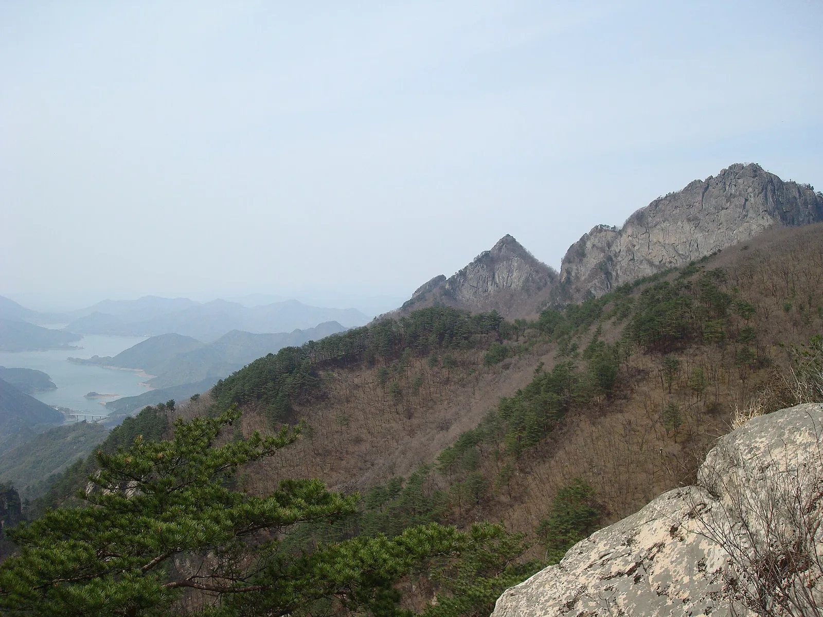 월악산 정상부 뾰족한 화강암 봉우리들이 안개 낀 능선 위로 솟아 있는 모습, 소나무가 전경에 자리한다