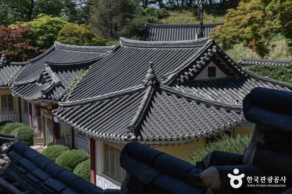 도산서원 경내의 기와지붕들