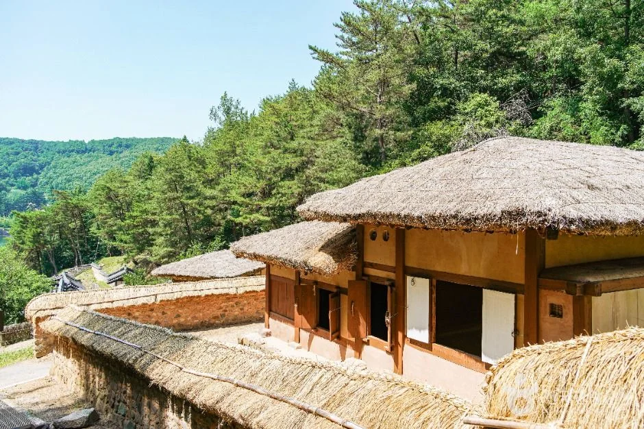 안동민속촌의 초가집과 돌담