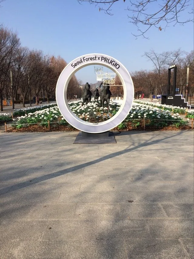 넓은 잔디밭과 산책로가 있는 서울숲 공원 전경