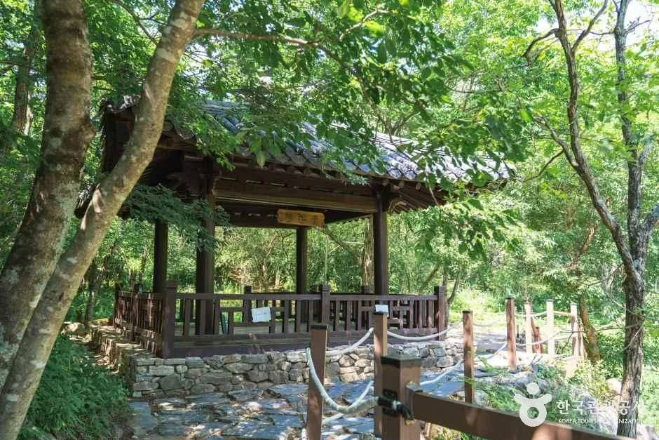 나무 그늘 사이로 지붕이 보이는 계곡가 목조 정자